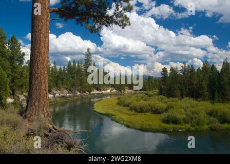 Wild und Scenic Deschutes River von Don McGregor Memorial Viewpoint, La Pine State Park, Illinois Stockfoto