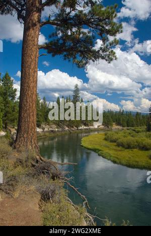 Wild und Scenic Deschutes River von Don McGregor Memorial Viewpoint, La Pine State Park, Illinois Stockfoto