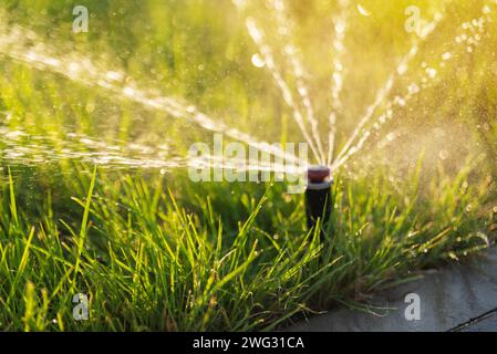 Grünrasenbewässerung mit automatischem Sprinklerbewässerungssystem. Unscharfer selektiver Fokus. Stockfoto