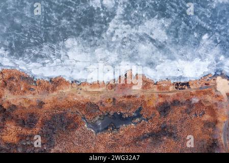 Blick von oben auf das Feld mit orangefarbenem Gras in der Nähe des gefrorenen Sees, bedeckt mit Eis. Natürlicher Winterhintergrund. Stockfoto