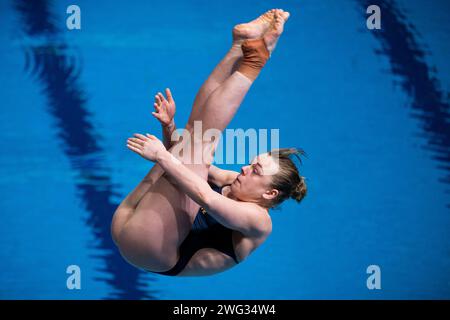 Doha, Katar. Februar 2024. Während der 21. Aquatic World Championships im Hamad Aquatic Center in Doha (Katar), 02. Februar 2024. Quelle: Insidefoto di andrea staccioli/Alamy Live News Stockfoto