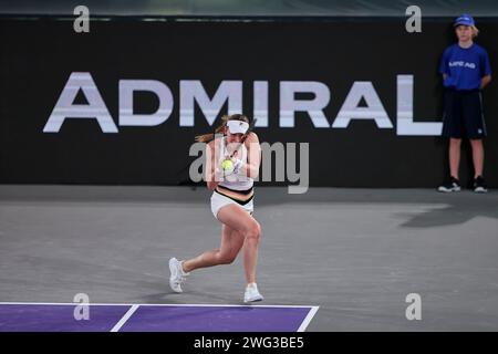 Linz, Oberösterreich, Österreich. Februar 2024. Ekaterina Alexandrova in Aktion während der Oberösterreich Damen Linz - Damen Tennis, WTA500 (Credit Image: © Mathias Schulz/ZUMA Press Wire) NUR REDAKTIONELLE VERWENDUNG! Nicht für kommerzielle ZWECKE! Stockfoto