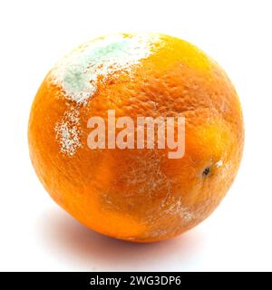 Orange orange mit weißer Form bedeckt. Stockfoto