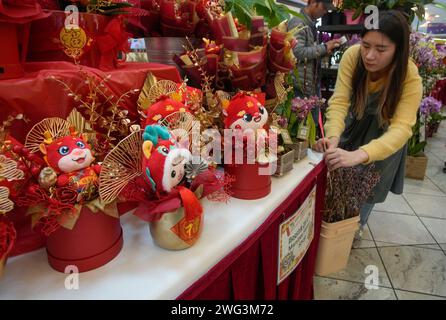 Richmond, Kanada. Februar 2024. Drachen-Dekorationen werden am 2. Februar 2024 auf der chinesischen Lunar New Year Flower and Gift Fair in Richmond, British Columbia, Kanada, ausgestellt. Die Messe begann hier am Freitag mit etwa hundert Ständen, die viele Besucher anzogen, um für das kommende chinesische Mondneujahr einzukaufen. Quelle: Liang Sen/Xinhua/Alamy Live News Stockfoto