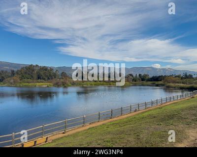 Goleta, CA, USA - 27. Dezember 2023: Lake Los Carneros Park. Der Staudamm ist ein Aussichtspunkt mit Blick auf die Berge Santa Inez. Vögel und Enten an Stockfoto
