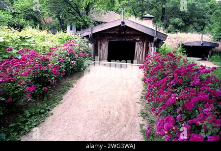 Das Dorfmuseum, Bukarest, Rumänien, ca. 1990. Ausstellung einer unterirdischen Hütte aus dem 19. Jahrhundert aus Olt County mit Gras auf dem Dach. Stockfoto