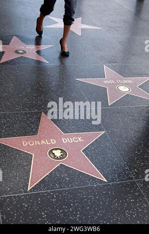 Donald Duck Star auf dem Holywood Walk of Fame, Hollywood, Califnria, USA Stockfoto