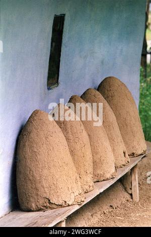 Alte traditionelle, mit Lehm gesäumte Bienenköpfe, ausgestellt im Dorfmuseum in Bukarest, Rumänien, ca. 1999 Stockfoto