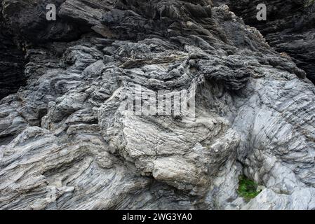 Falten in Stein, Llangranog Stockfoto