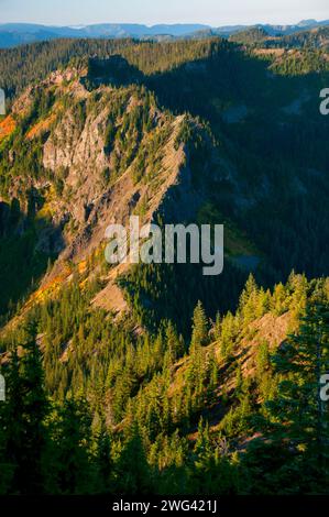 Mt Beachie aus Schlacht Ax Bergweg, Bull der Wald Wildnis, Mt. Hood National Forest, Oregon Stockfoto