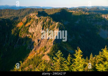 Mt Beachie aus Schlacht Ax Bergweg, Bull der Wald Wildnis, Mt. Hood National Forest, Oregon Stockfoto