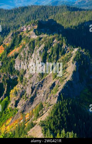 Mt Beachie aus Schlacht Ax Bergweg, Bull der Wald Wildnis, Mt. Hood National Forest, Oregon Stockfoto