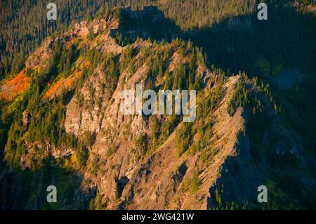 Mt Beachie aus Schlacht Ax Bergweg, Bull der Wald Wildnis, Mt. Hood National Forest, Oregon Stockfoto