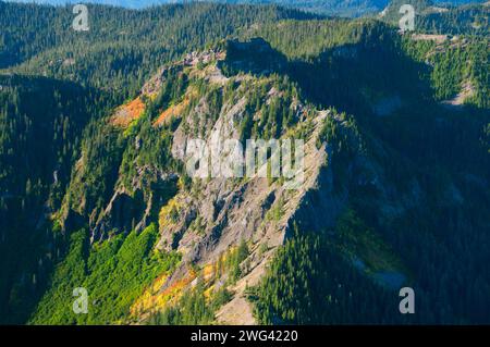 Mt Beachie aus Schlacht Ax Bergweg, Bull der Wald Wildnis, Mt. Hood National Forest, Oregon Stockfoto