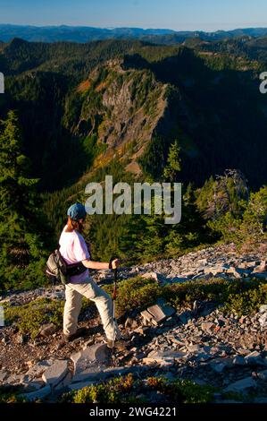 Mt Beachie aus Schlacht Ax Bergweg, Bull der Wald Wildnis, Mt. Hood National Forest, Oregon Stockfoto