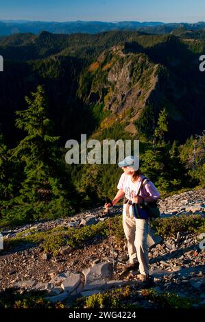 Mt Beachie aus Schlacht Ax Bergweg, Bull der Wald Wildnis, Mt. Hood National Forest, Oregon Stockfoto