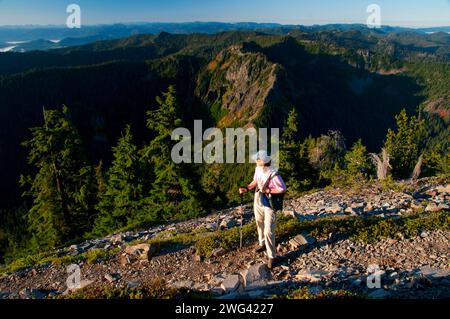 Mt Beachie aus Schlacht Ax Bergweg, Bull der Wald Wildnis, Mt. Hood National Forest, Oregon Stockfoto