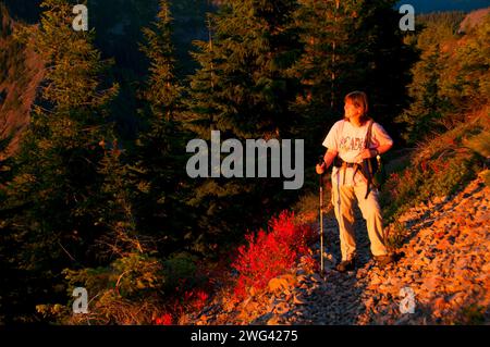 Schlacht Ax Bergweg, Bull der Wald Wildnis, Mt. Hood National Forest, Oregon Stockfoto