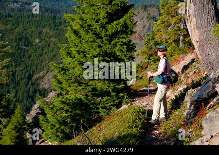 Schlacht Ax Bergweg, Bull der Wald Wildnis, Mt. Hood National Forest, Oregon Stockfoto