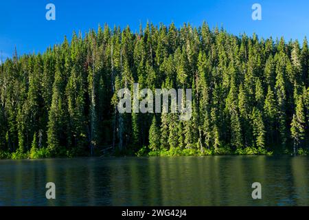 Untersee, Olallie See Scenic Area, Mt. Hood National Forest, Oregon Stockfoto