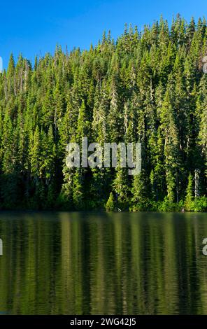 Untersee, Olallie See Scenic Area, Mt. Hood National Forest, Oregon Stockfoto