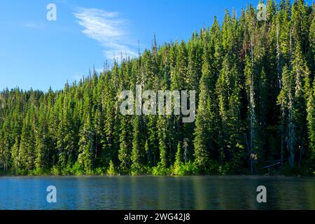 Untersee, Olallie See Scenic Area, Mt. Hood National Forest, Oregon Stockfoto