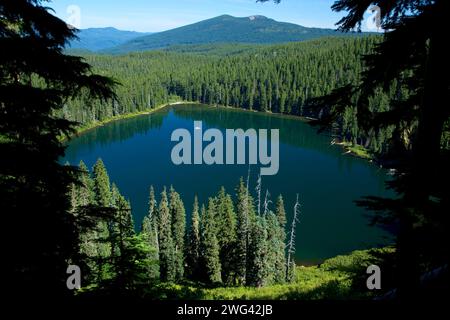 Fish Lake, Olallie Lake Scenic Area, Mt Hood National Forest, Oregon Stockfoto