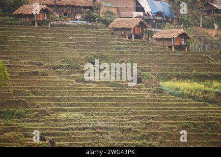 Einheimisches traditionelles Hmong-Haus auf den Reisterrassen zeigt die authentische indigene Kultur und das tägliche Leben im Dorf Lao Chai, Sa PA Vietnam Stockfoto