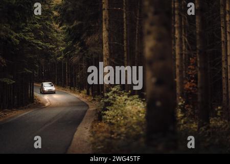 Ein Auto, das auf einer von hohen Bäumen umgebenen Straße fährt. Stockfoto