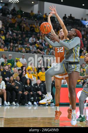 1. Februar 2024: Baylor Lady Bears Guard Aijha Blackwell (33) schießt den Ball gegen die Texas Longhorns Guard Ndjakalenga Mwenentanda (32) während der 2. Hälfte des NCAA Basketballspiels zwischen den Texas Longhorns und Baylor Lady Bears im Foster Pavilion in Waco, Texas. Matthew Lynch/CSM Stockfoto