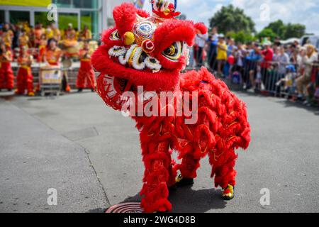 Chinesischer Löwentanz zum Neujahrsfest. Kostenlose Straßenaufführung. Nicht erkennbare Zuschauer und Künstler im Hintergrund. Auckland. Stockfoto