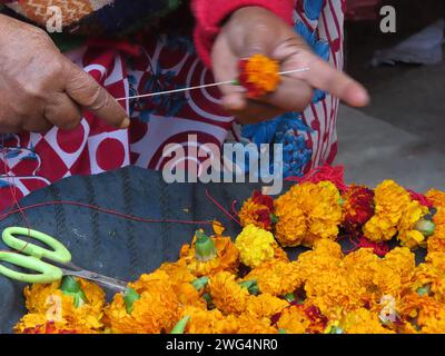 Ein Action-Nahaufnahme-Bild einer Frau, die Ringelblumen auf eine Nadel für eine Girlande oder einen traditionellen hinduistischen Willkommenskranz oder lei fädelt. Stockfoto