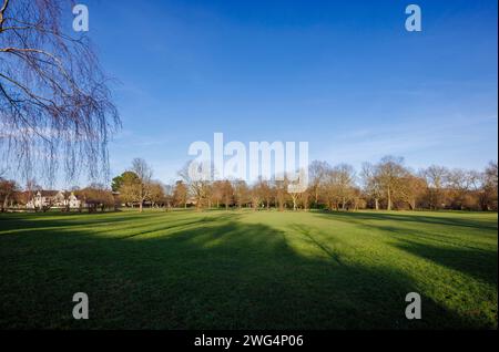 Lange Nachmittagsschatten an einem sonnigen Wintertag auf Wandsworth Common, einem großen öffentlichen Gemeindegebiet in Wandsworth, Südwesten Londons, England Stockfoto