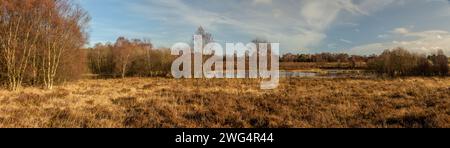 Das Naturschutzgebiet Schwanzmoos im Winter. Dies ist ein in Adobe Lightroom mit drei Bildern erstelltes Fotomerge-Panorama. Stockfoto