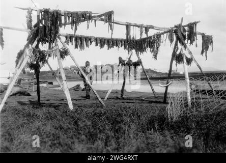 Trocknung von Whale Meat-Hooper Bay, 1929. Eskimo mit Walfleisch auf Stangen, Hooper Bay, Alaska. Stockfoto