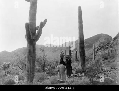 Hasen Ernte B-Qahatika. Drei Frauen, die durch die Wüste laufen, zwei mit Kiho-Trägern und eine mit Topf auf Kopf, Arizona, 1907. Stockfoto