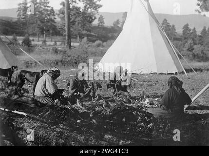 Rührfleisch-Flathead, 1910. Vier Salish-Frauen sitzen auf dem Boden und bereiten Fleisch vor. Stockfoto