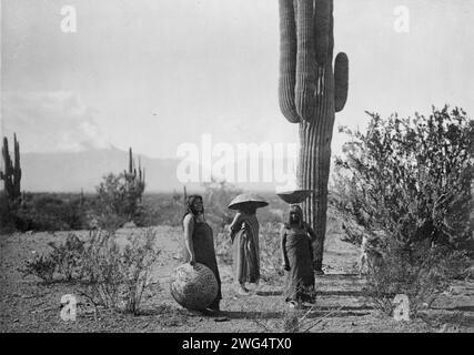 Saguaro Obstsammler-Maricopa, 1907. Drei Frauen, zwei davon mit Körben auf dem Kopf, stehen bei Kaktuspflanze in Arizona. Stockfoto