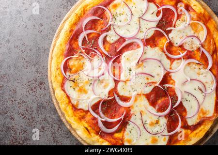 Pizza pugliese ist eine dünne Pizza, die mit Tomatensauce, Käse und vielen Zwiebeln auf einem Holzbrett auf dem Tisch bedeckt ist. Horizontale Draufsicht von Stockfoto