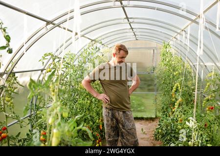 Der Bauer arbeitet in einem Gewächshaus. Ein Mann beschäftigt sich mit seinem Hobby in einem Gewächshaus und pflanzt Bio-Gemüse an. Großes Gewächshaus Stockfoto