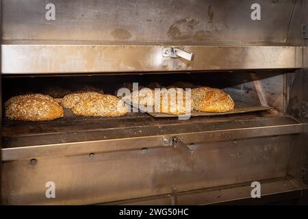 Deutschland 31. Januar 2024: In der Backstube eines Bäckers liegt das frisch gebackene Brot, Körnerbrot im Ofen. Landkreis Osnabrück Niedersachsen *** Deutschland 31. Januar 2024 in der Bäckerei eines Bäckers liegt das frisch gebackene Brot, Getreidebrot im Ofenbezirk Osnabrück Niedersachsen Copyright: XFotostandx/xGelhotx Stockfoto
