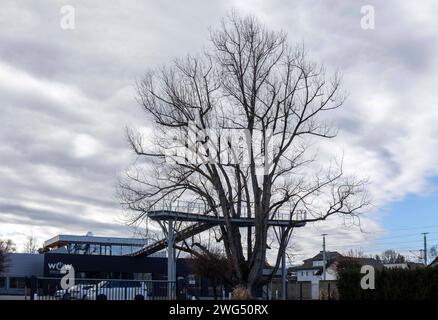 03.02.2024, Seekirchen am Wallersee, AUT, unterwegs in Salzburg, Symbolbild, Themenbild, Verschiedene Themenbilder, Reportage, Fa. Windhager im Bild eine Außenansicht der Firma Windhager,Illustration zum Thema Heizungshersteller Windhager. Im Bild: Die Zentrale des Heizungsherstellers Windhager aufgenommen am Samstag, 3. Februar 2024. Der Heizungshersteller Windhager mit Sitz in Seekirchen im Salzburger Flachgau hat am Landesgericht Salzburg die Eröffnung eines Insolvenzverfahrens beantragt *** 03 02 2024, Seekirchen am Wallersee, AUT, unterwegs in Salzburg, Symbolbild, Themenbild, Verschieden Stockfoto