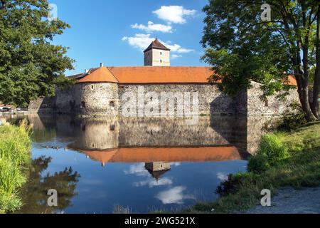 Die Wasserburg Svihov im Lokal vodní hrad Švihov ist ein Überrest einer mittelalterlichen Wasserfestung in Tschechien Stockfoto