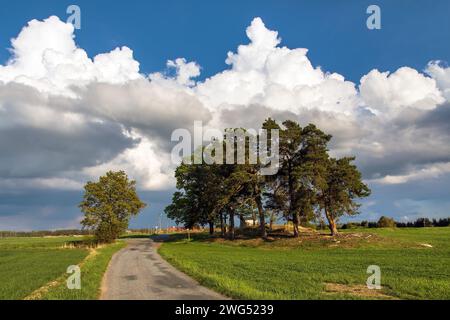 Landschaft mit kleinen Kiefernwäldern, Feldern, Dorf, Straße und Cumulus Wolken Stockfoto