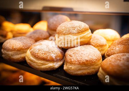 Deutschland 31. Januar 2024: In einem Bäckerladen eines Handwerksbäckers liegt frisch gebackene Berliner, Krapfen für den Verkauf an die Kunden in einem Regal. Landkreis Osnabrück Niedersachsen *** Deutschland 31. Januar 2024 in einer Bäckerei eines handwerklichen Bäckers liegen frisch gebackene Berliner, Donuts zum Verkauf an Kunden auf einem Regal im Landkreis Osnabrück Niedersachsen Copyright: XFotostandx/xGelhotx Stockfoto