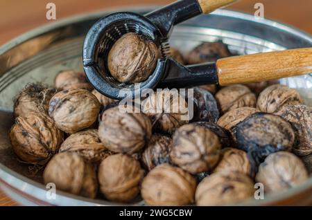 Frisch gepflückte Walnüsse in einer Schüssel Stockfoto