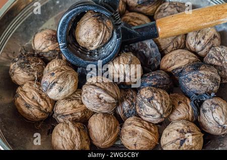 Frisch gepflückte Walnüsse in einer Schüssel Stockfoto