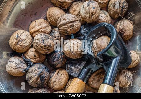 Frisch gepflückte Walnüsse in einer Schüssel Stockfoto