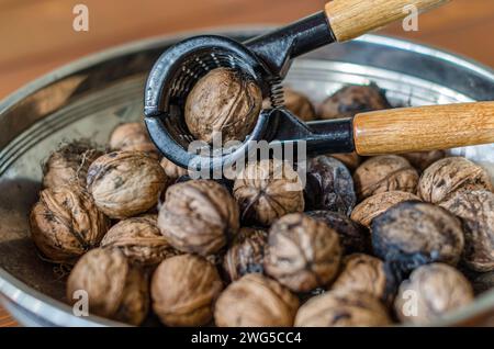 Frisch gepflückte Walnüsse in einer Schüssel Stockfoto