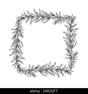 Monochromer Rahmen mit handgezeichneter Vektorillustration des Rosmarinbrunch, schwarz-weiß getönte Skizze des Krauts, Gewürzpflanze isoliert auf weißem Hintergrund Stock Vektor